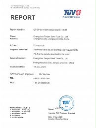 TUV 检测报告