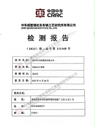 中车检测报告